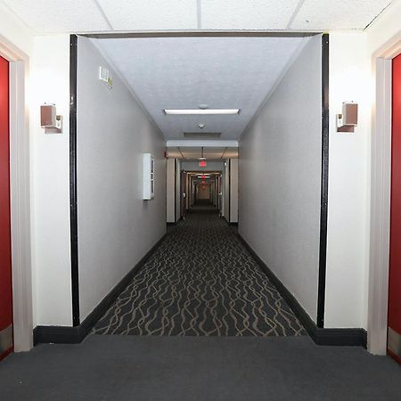 Red Roof Inn & Suites Lexington - Hamburg Экстерьер фото